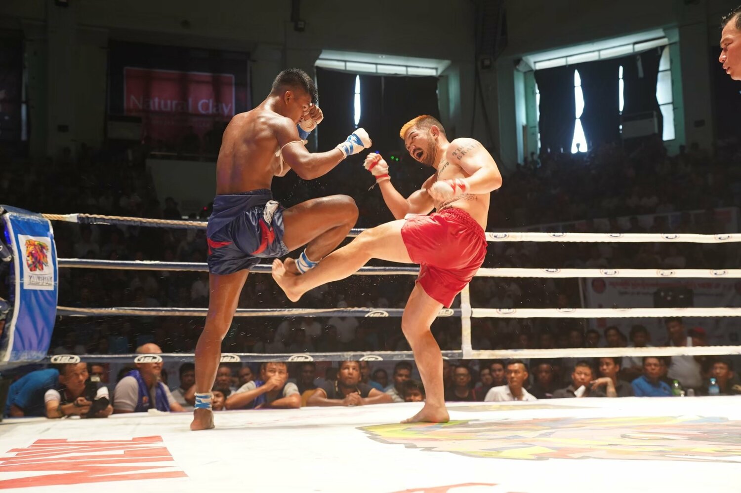 写真は本人提供