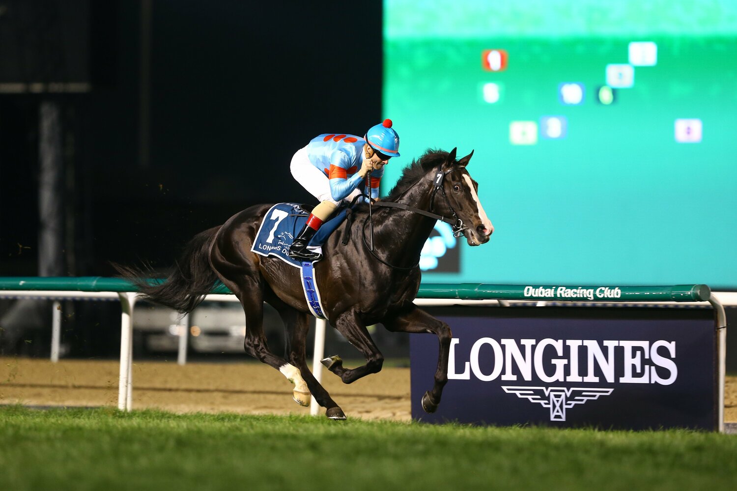 ドバイで世界の強豪を圧倒したイクイノックス。鞍上のルメールはゴール手前で余裕のガッツポーズ　©Getty Images