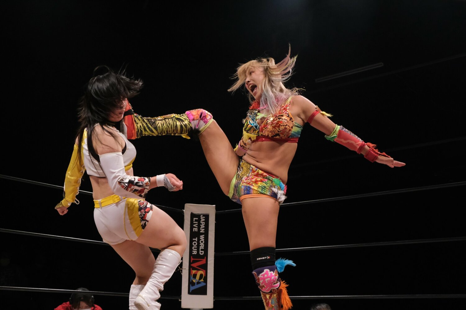 彩羽匠に衝撃を受けたウナギはマーベラスにも参戦