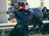 オグリキャップは燃え尽きてしまったのか」17万人超の観衆、歩くことも