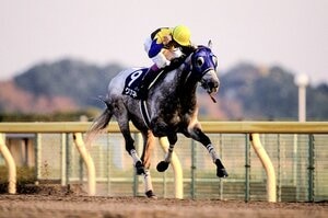 【クロフネ編】武豊「クロフネという名で外国の馬を負かしに行きたかった」 “伝説のジャパンCダート”は世界を震撼させた