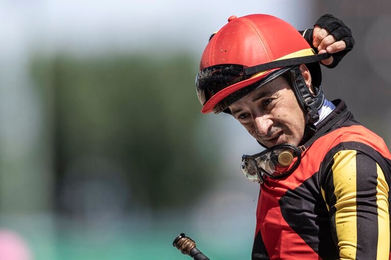 ルメール ／ photograph by photostud