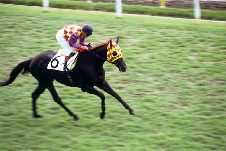 '85年ダービーでトウショウサミットに騎乗する中島。中島の死後に臨んだ次走セントライト記念では鞍上に小島太を迎えた　©︎JRA