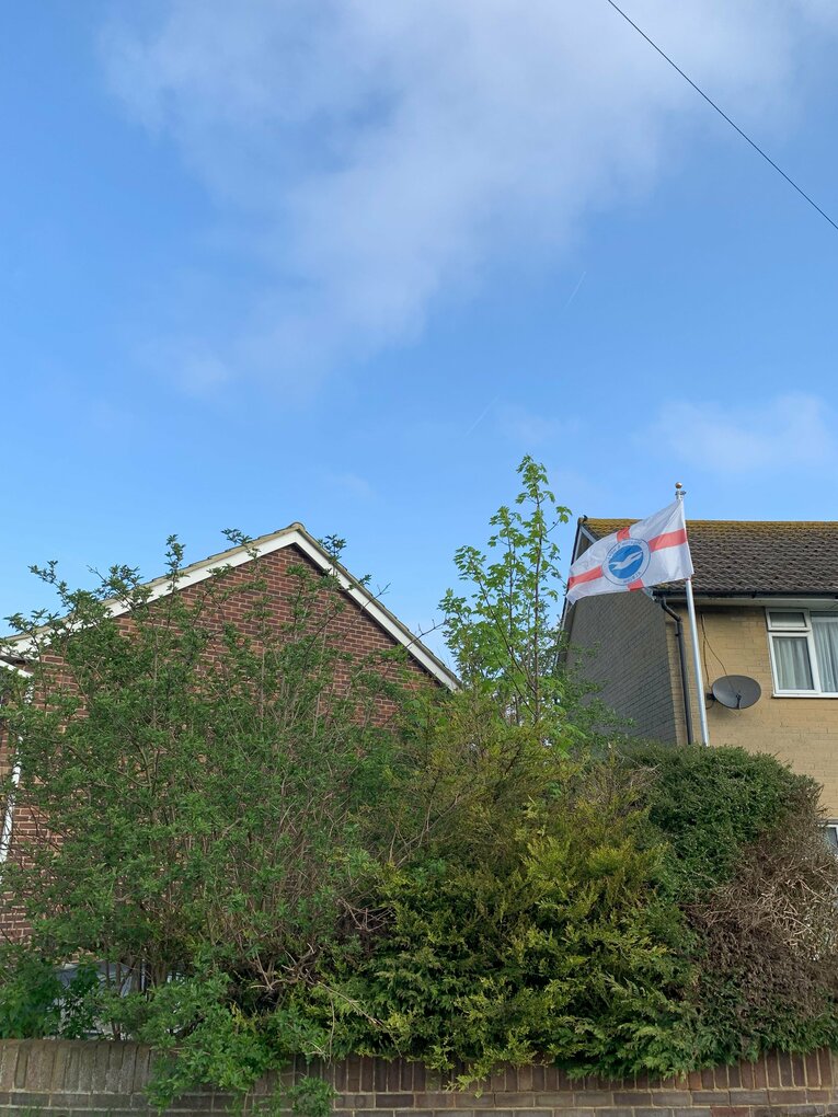 オシャレなブライトンの町並み　©Yoichi Igawa　