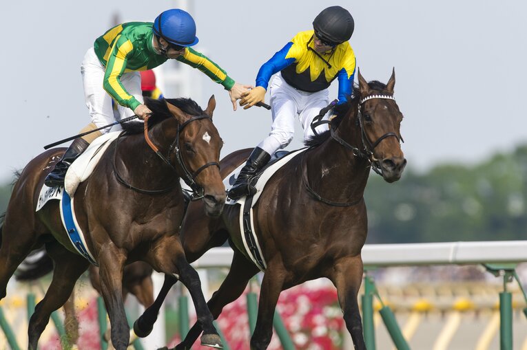 第83回（2016年）日本ダービーを制したマカヒキと川田将雅。2着はサトノダイヤモンドとルメール　©︎Takuya Sugiyama