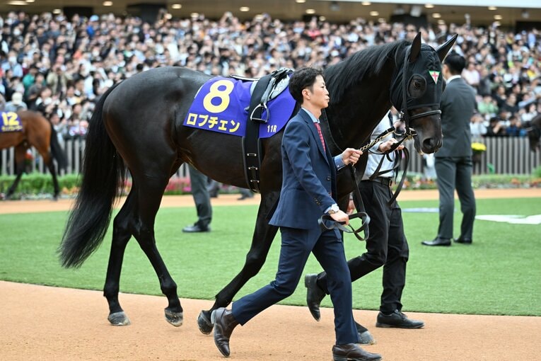 ロブチェンのパドック。序盤はそれほど発汗していなかったが、次第にゼッケンの下が白く泡立っていった　©Keiji Ishikawa