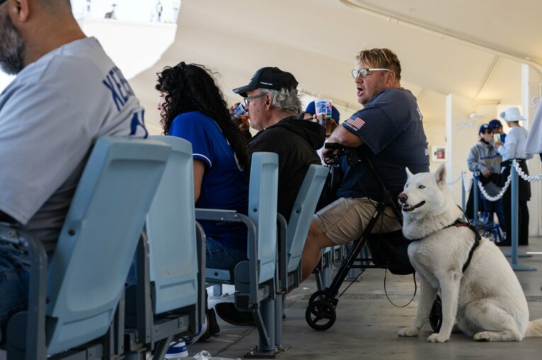 【現地開幕戦】ドジャー・スタジアムには観客をサポートする犬の姿も　©Nanae Suzuki