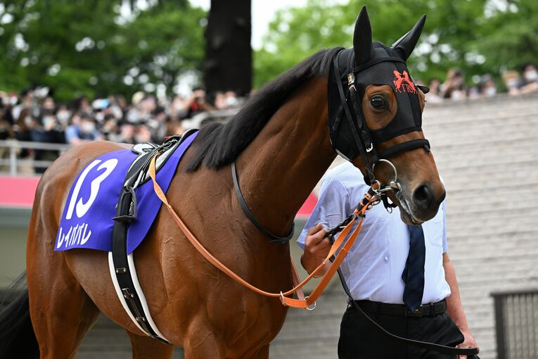 ソダシが見せた「アーモンドアイ、グランアレグリアに匹敵する圧勝劇」 “気難しいアイドル”が好走できた2つの理由《ヴィクトリアマイル》(33)