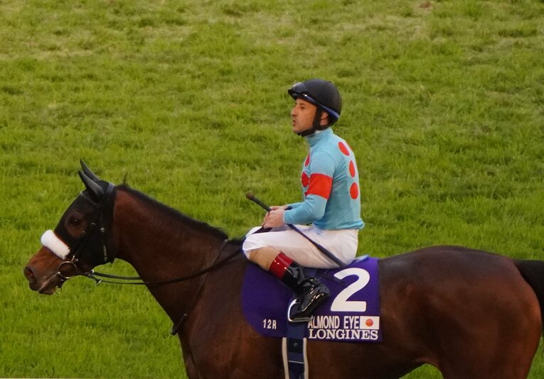 20年のジャパンCが引退レースとなったアーモンドアイとルメール　©Satoshi Hiramatsu