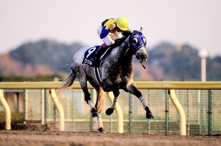ダートGI・2勝馬につけた着差は7馬身。圧巻の走りを披露したクロフネ ／ photograph by フォトチェスナット