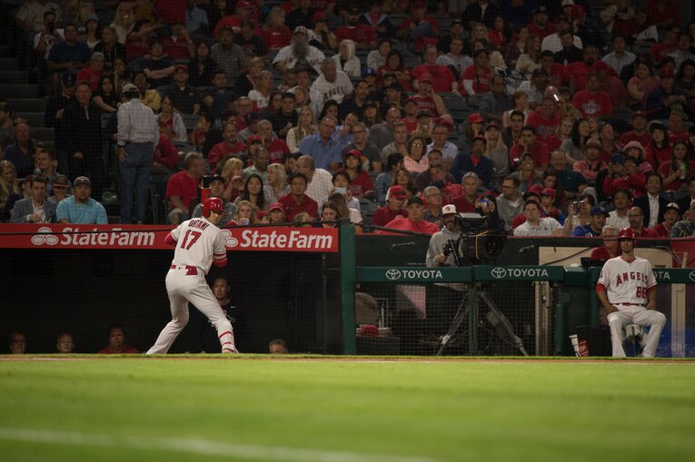 2018年　©Nanae Suzuki