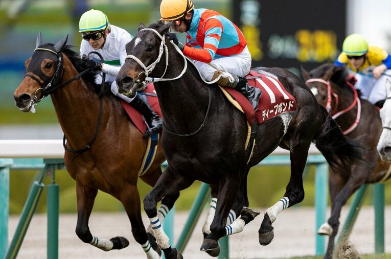 前走・阪神大賞典を制したディープボンド。左は2着のアイアンバローズ ／ photograph by Photostud