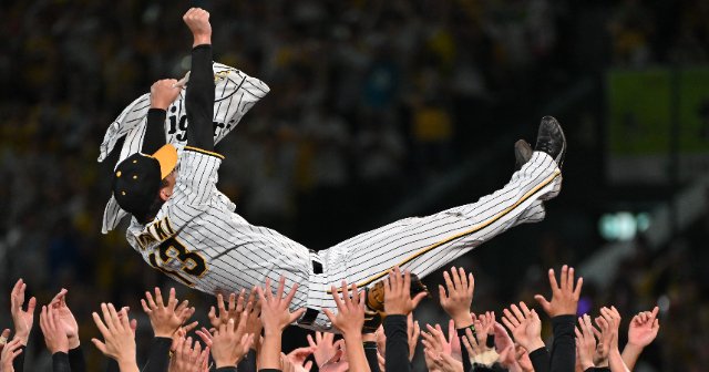 NPB公式バット 元阪神タイガース 横田慎太郎 使用 gate様専用