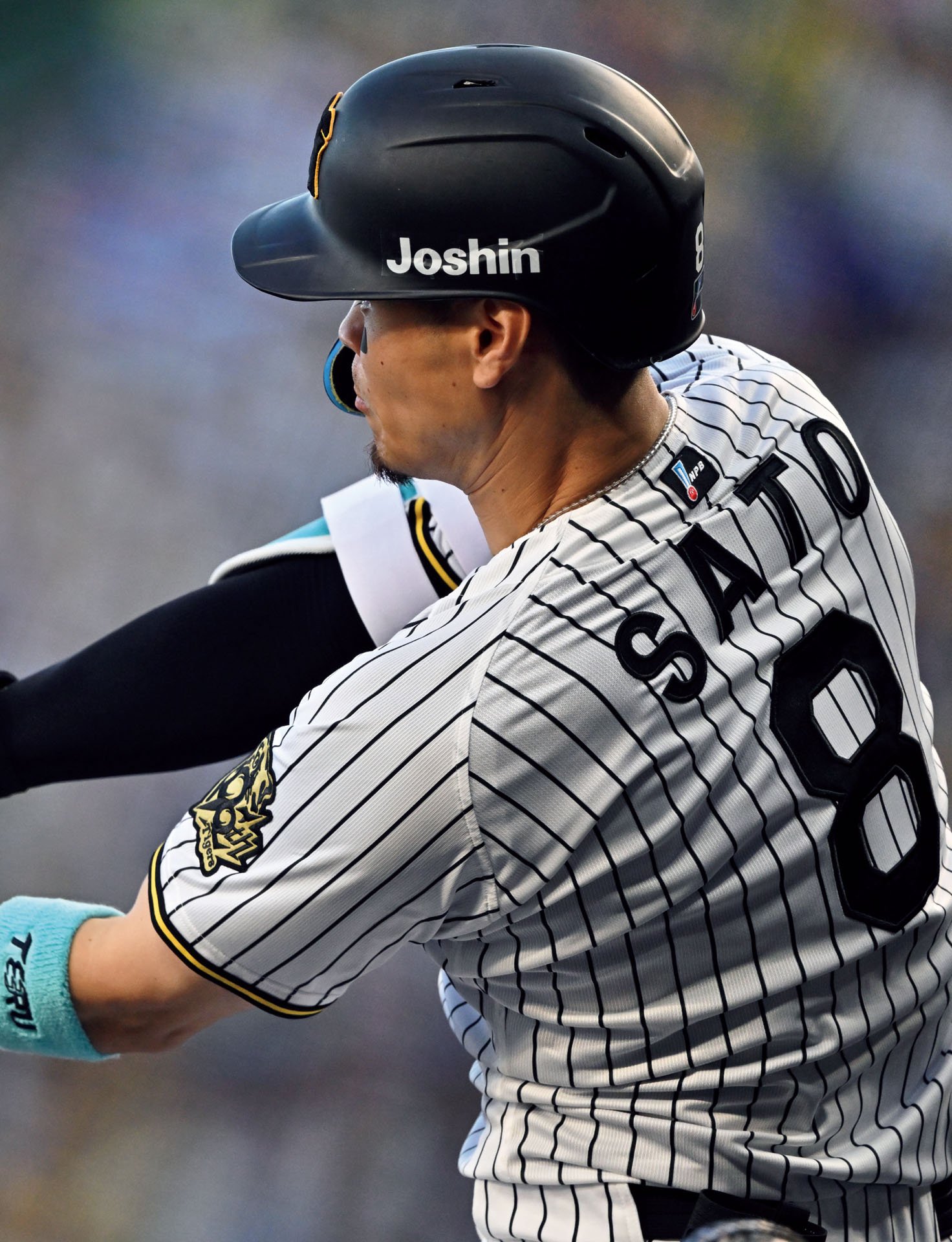 佐藤輝明「比類なき頂への道」