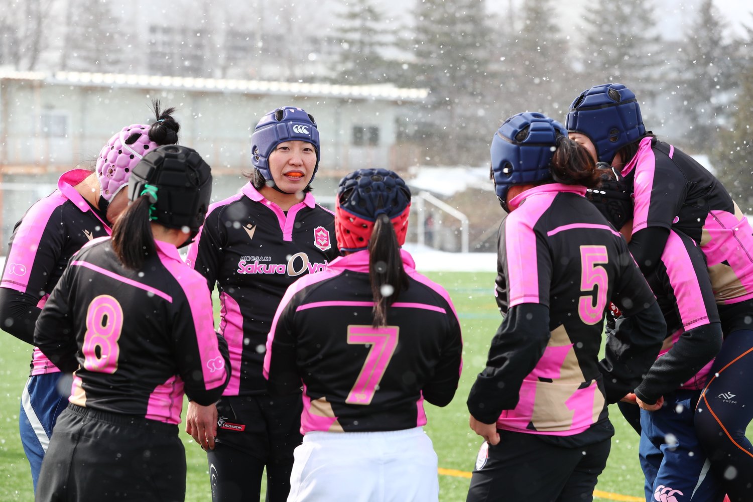 ©HIROSAKI SAKURA OVALS