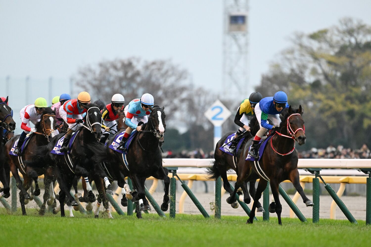 パンサラッサが1000m通過57秒6の大逃げを打つなか、イクイノックスは好位につけた　©Keiji Ishikawa