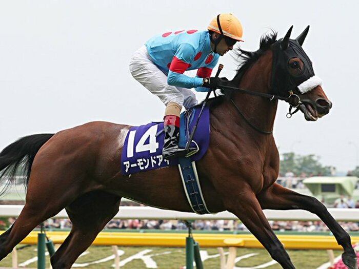 天皇賞・秋、2強の優先順位は？歴史的名牝か伸び盛りの3歳か。＜Number Web＞ photograph by Yuji Takahashi