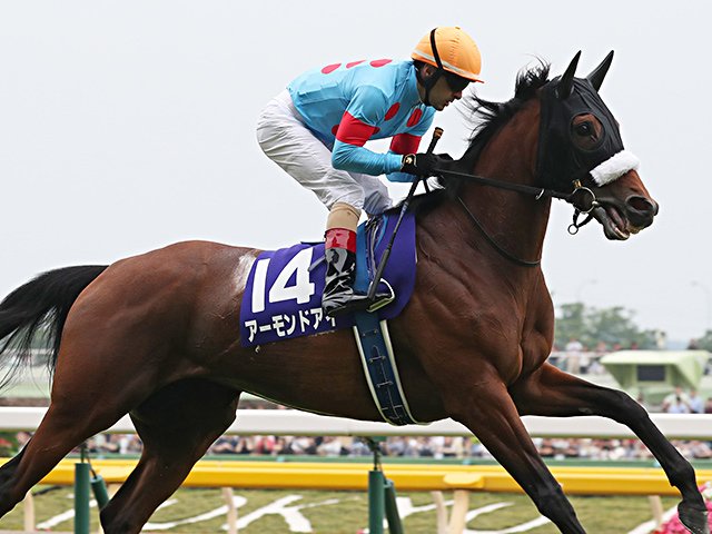 アーモンドアイ　天皇賞優勝 天皇賞・秋】アーモンドアイ史上初の芝G1・8勝 盾5連覇で