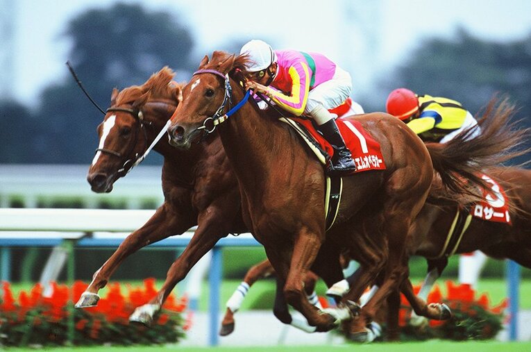 テイエムオペラオー ／ photograph by Keiji Ishikawa