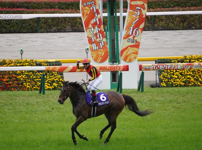 自己最速“年間100勝”到達のルメールが上半期をプレイバック！ グランアレグリアは「あんな手応えでも伸びるんだ!?」(7)