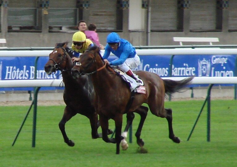 ピカレスクコート（左）　©Satoshi Hiramatsu