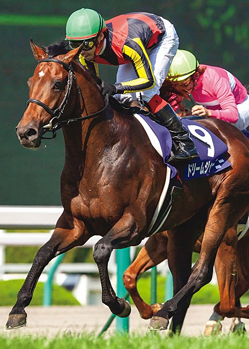 2009年宝塚記念では2着のサクラメガワンダーに1馬身4分の3差をつけて快勝。2年6カ月ぶりのGI制覇を果たす