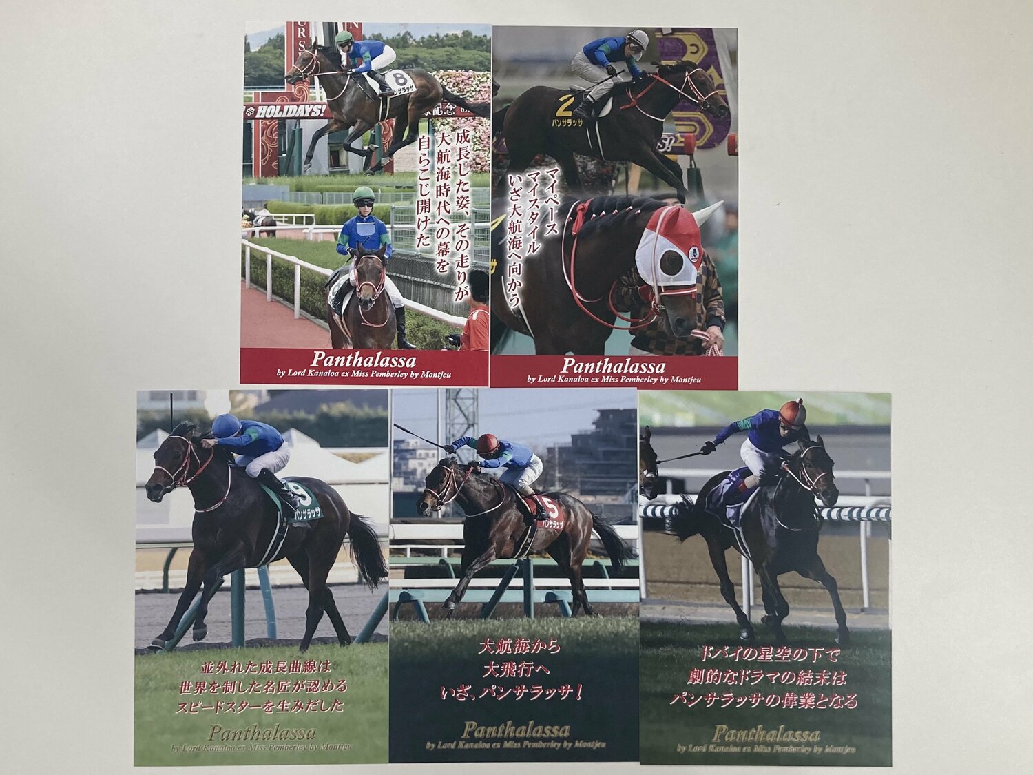 パンサラッサがレースに勝利した際に作られるポストカード（森本さん提供）