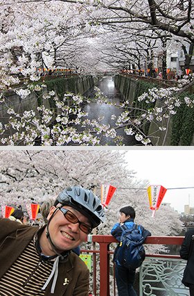 目黒川にかかる橋から水面を望む。川の両岸は多くの出店で賑わっていた。