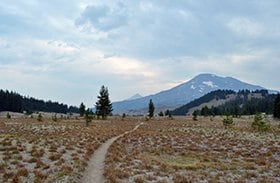 「人生、なるようにしかならないな」という言葉が沁みる。 