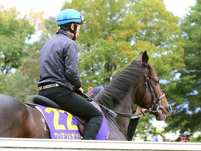 菊花賞でダービー馬は勝てない？ワンアンドオンリーが挑む2つの壁。＜Number Web＞ photograph by Yuji Takahashi