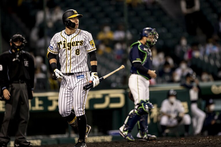 ©︎Kiichi Matsumoto