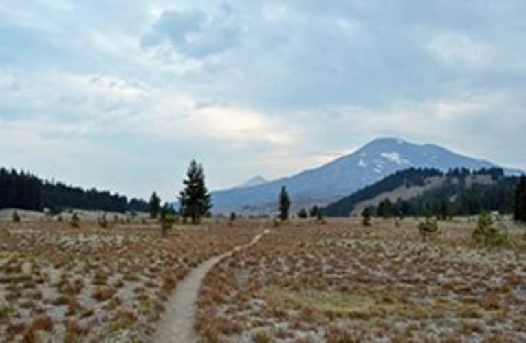 「人生、なるようにしかならないな」という言葉が沁みる。 