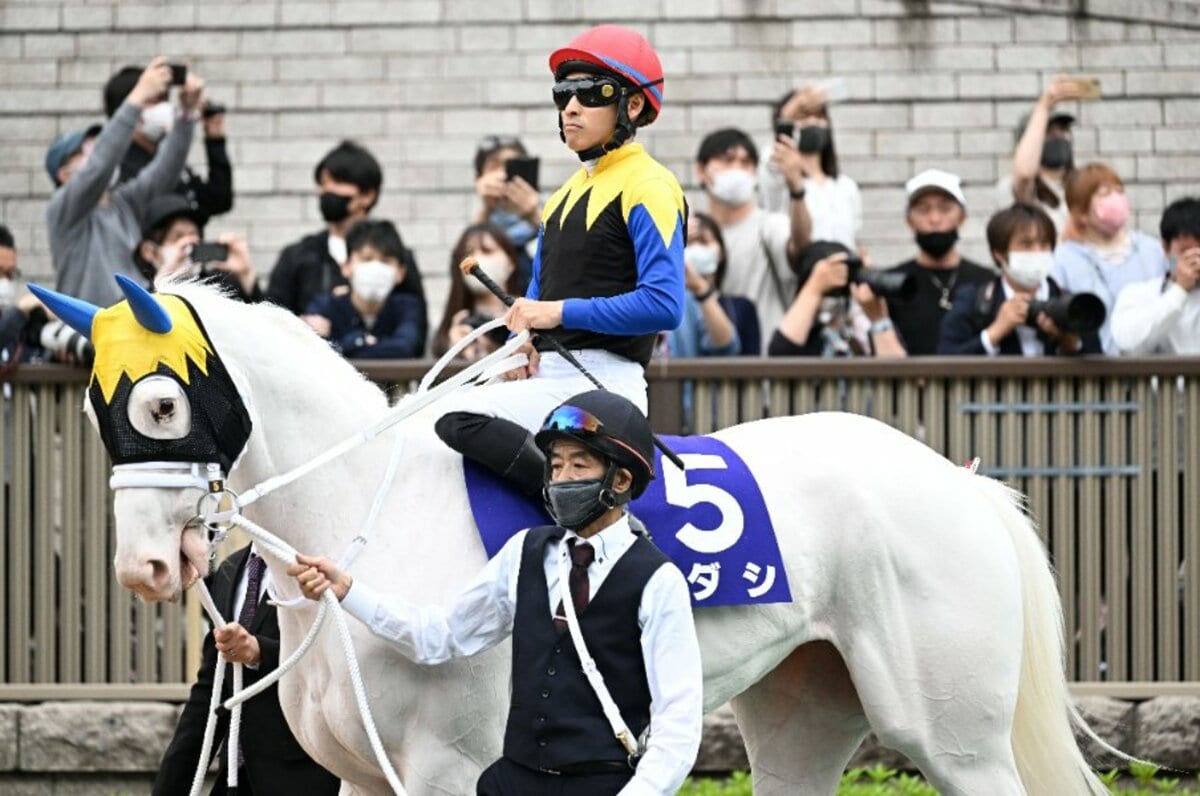 なぜ札幌記念にはスター馬が集まるのか？ ソダシ厩務員、エアグルーヴ