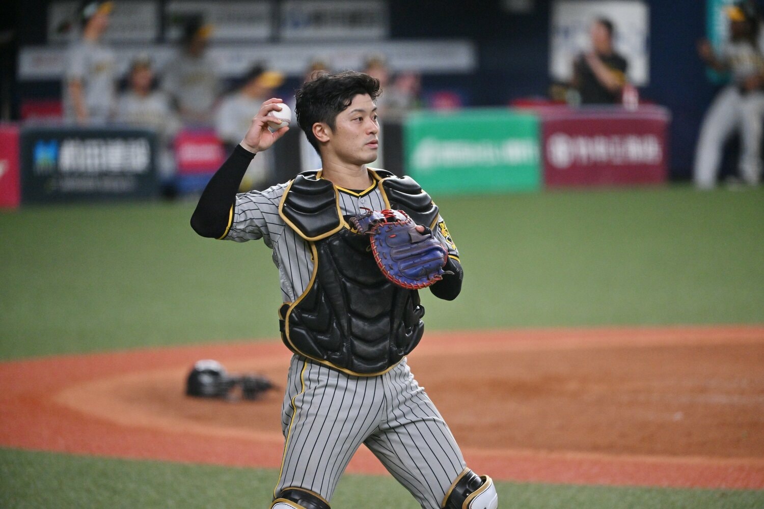 今季の日本シリーズでも7戦を通してマスクをかぶった阪神・坂本誠志郎　©︎Hideki Sugiyama