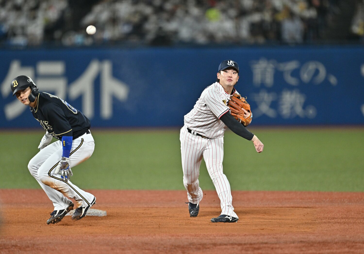 「名手・源田に迫る守備」とも言われるヤクルト長岡秀樹　©︎Hideki Sugiyama