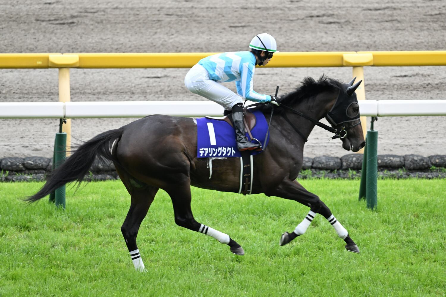 約1年ぶりのレースとなったデアリングタクト