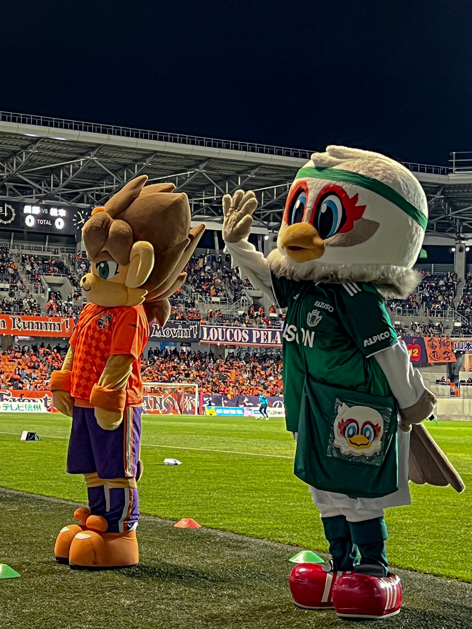 AC長野パルセイロのマスコット「ライオー」と松本山雅FCのマスコット「ガンズくん」