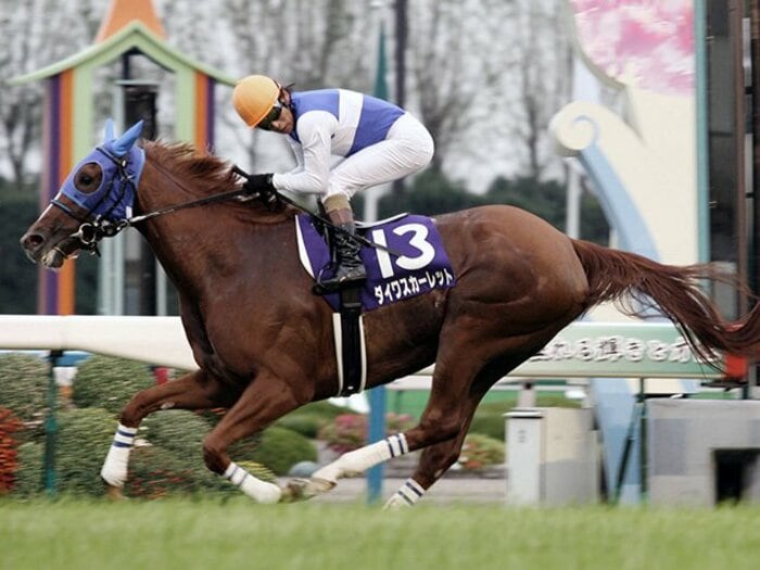 ウオッカ対スカーレットから10年。秋華賞の季節に思い出す名勝負。<Number Web> photograph by Kyodo News