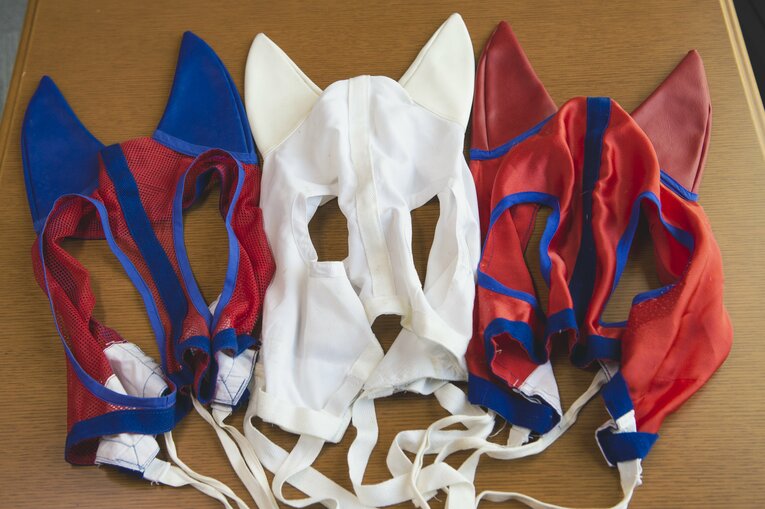 メンコ　©Wataru Sato