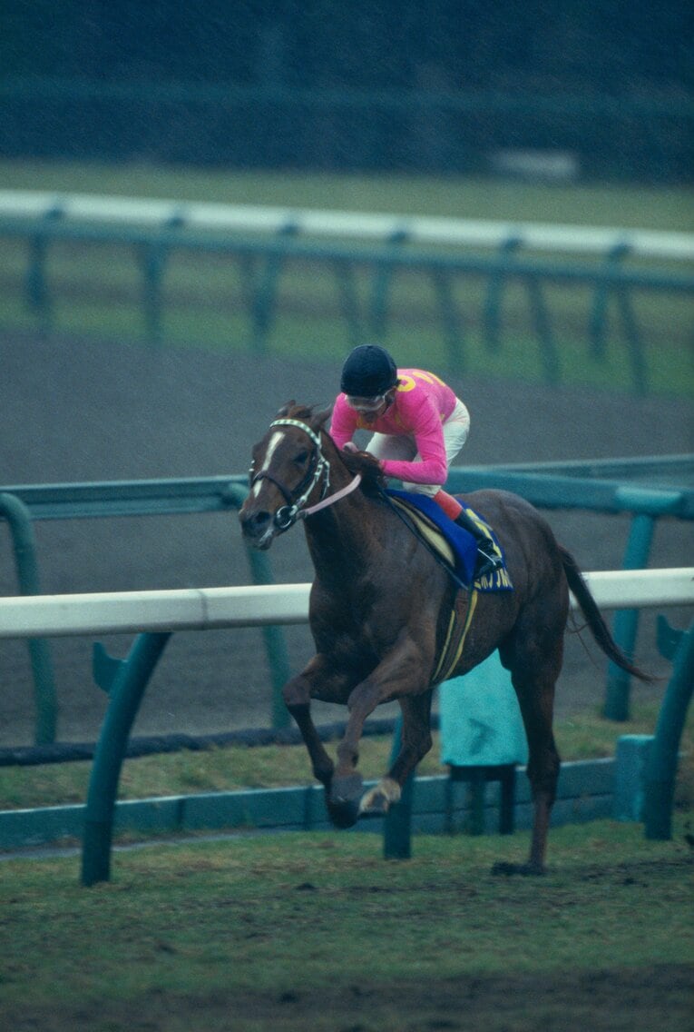 ミホノブルボン