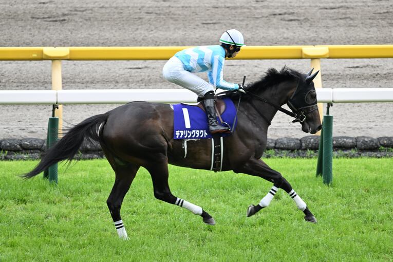 約1年ぶりのレースとなったデアリングタクト