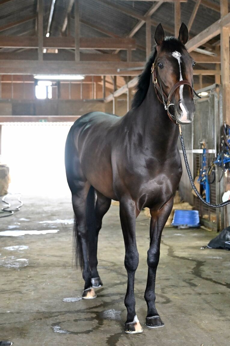 「僕とタイトルホルダーは折り合えるんだ」 横山家の長男・横山和生（29）が明かした天皇賞・春への自信と“父・典弘からのアドバイス”(15)