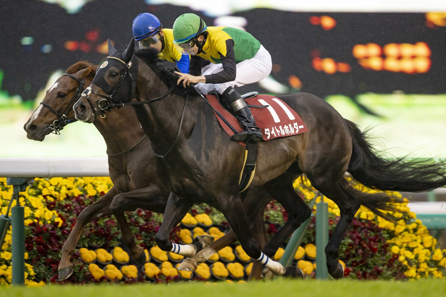 前走・日経賞を制したタイトルホルダー　©Photostud