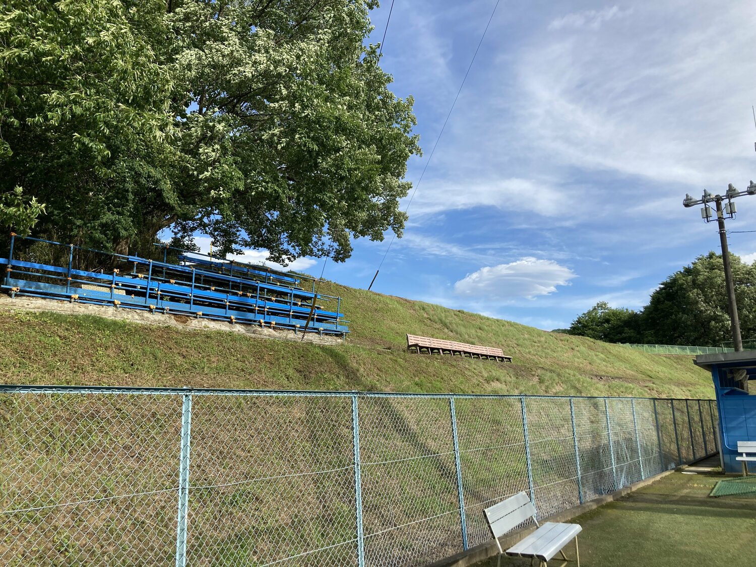 大学時代、塩見がイノシシを追っていた丘　©Number Web