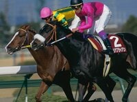希少♦️武豊メジロマックイーン引退式パネル 東スポ競馬 على X: 