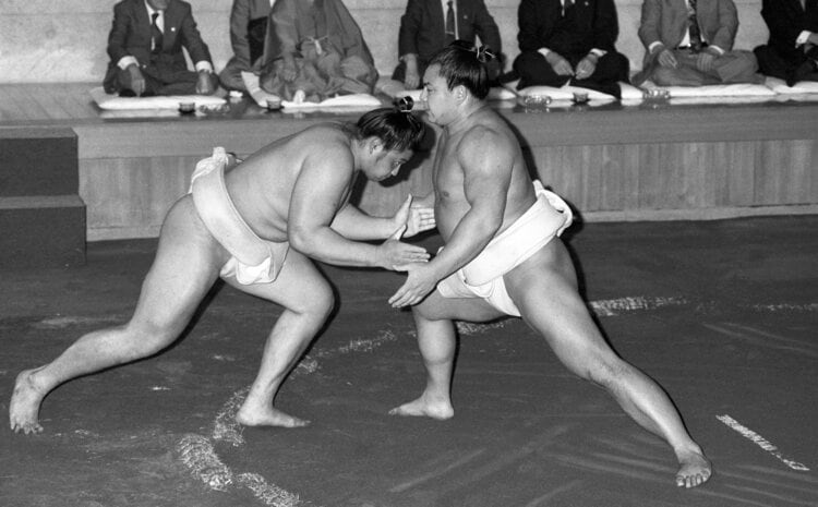 千代の富士引退』ってテロップがサザエさんのおでこに」まさかの速報に