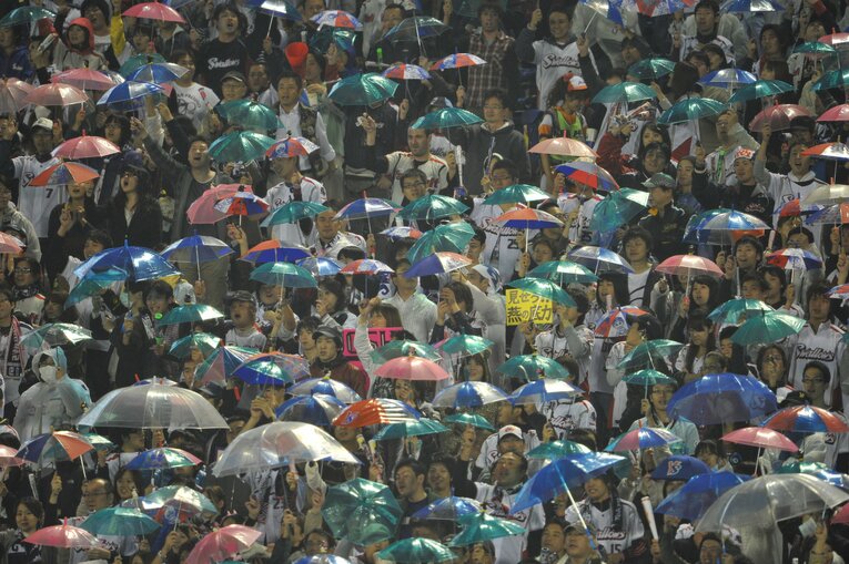 ヤクルト戦ではおなじみのビニール傘を持ったファンたち　(C)Hideki Sugiyama