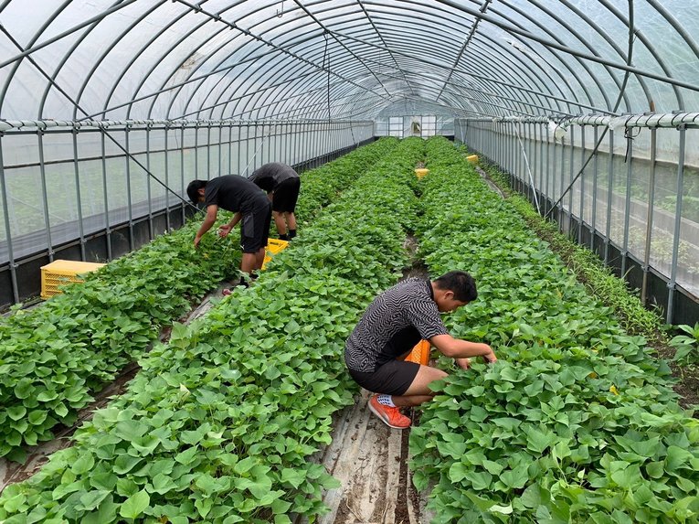 農業部の作業シーン　©︎Takagawa Gakuen