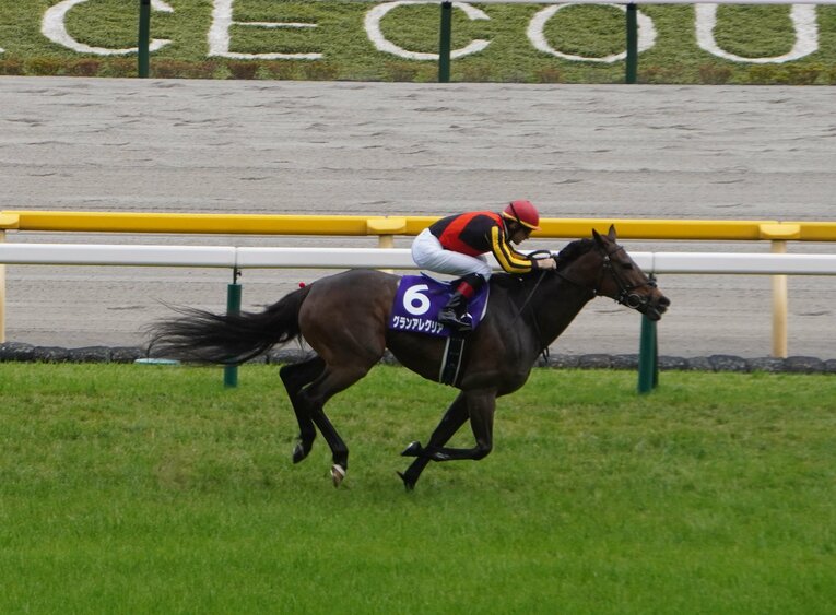 グランアレグリアは“行きたがる馬”から“穏やかな馬”に？ 圧巻のヴィクトリアマイルの裏にあった藤沢師の采配(8)