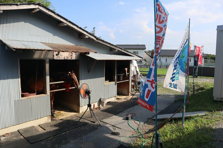 今村忠一さん宅の厩舎